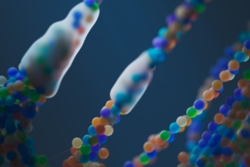 Teksas A&M Üniversitesi'nde DNA'nın evrimi üzerine araştırma