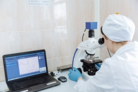 Gephyrin'in Beyin Hücrelerindeki Miyelin Oluşumuna Etkisi